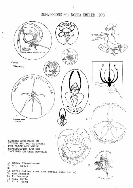 NOSSA Logo Entries.jpg