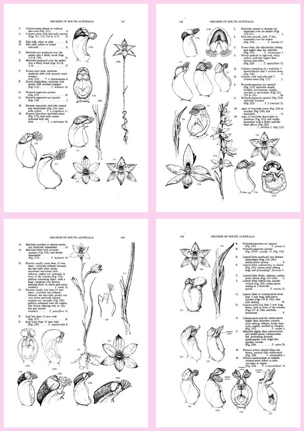 As part of the key, drawings of the column were included