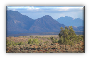 Robert Bates Semi-arid Shrubland.jpg