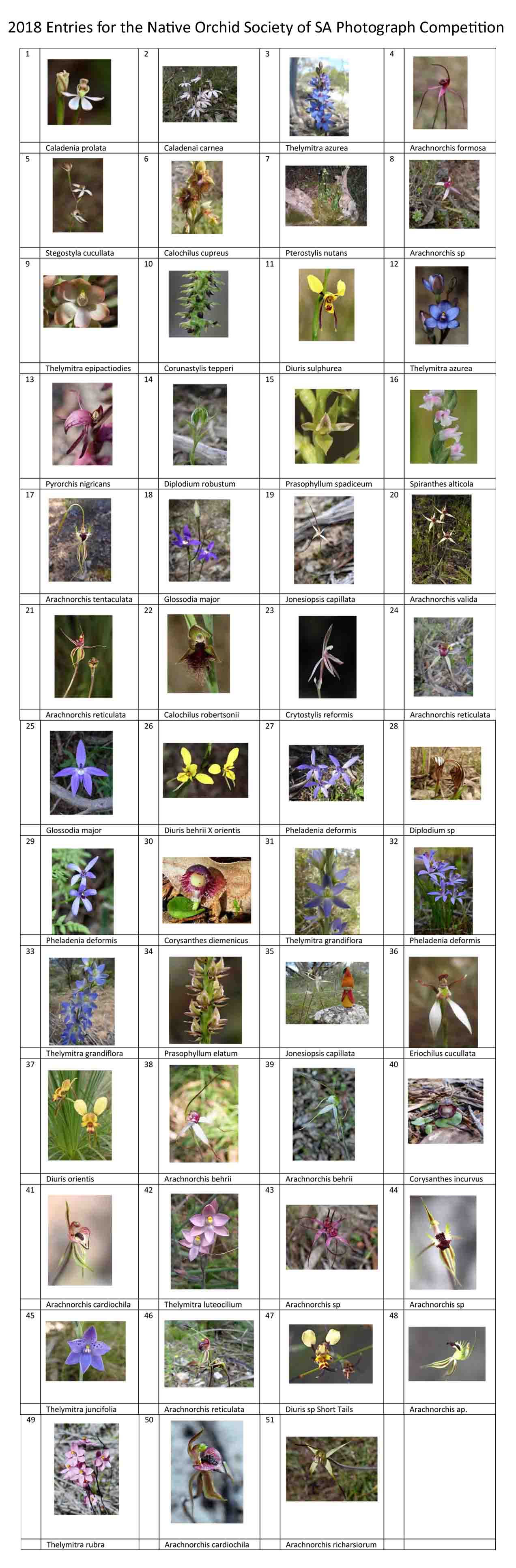 2018 Thumbnails Photogrpahs for voting