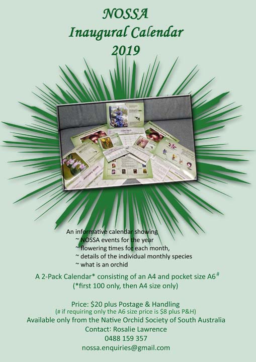 2019 Calendar Flyer sm amended.jpg