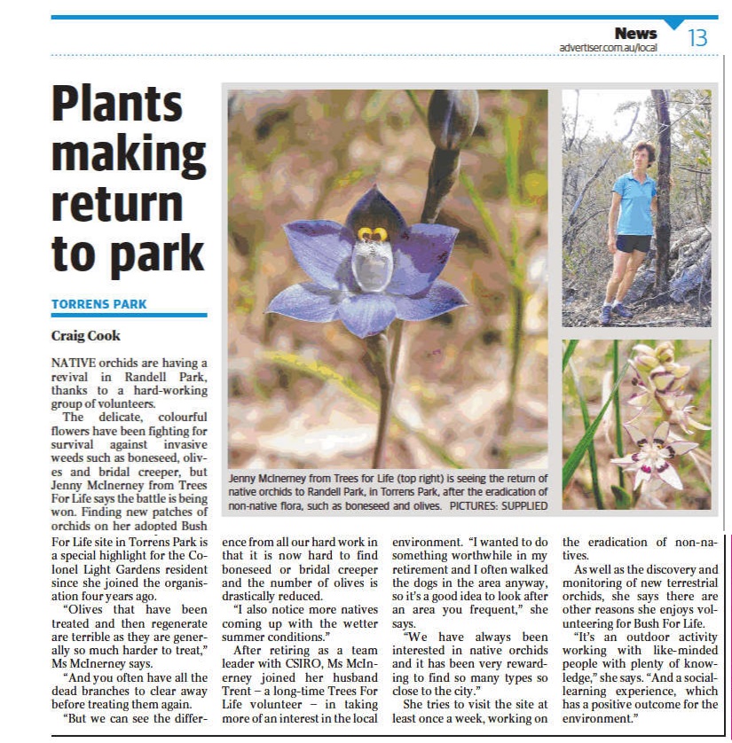 Plants Return to Park