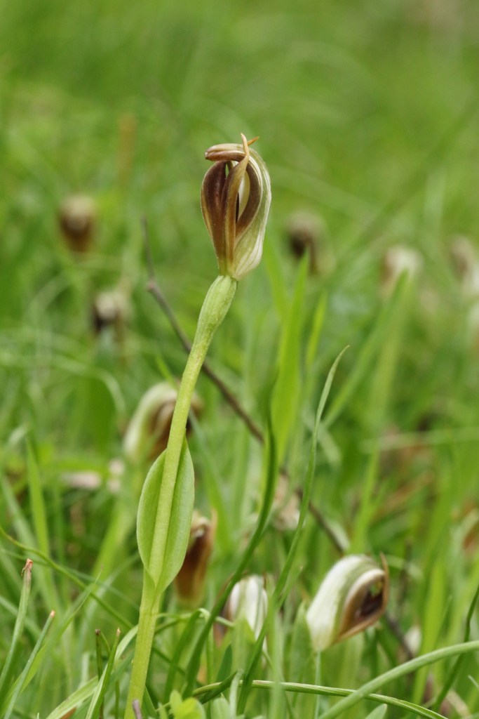 Where did everybody go?