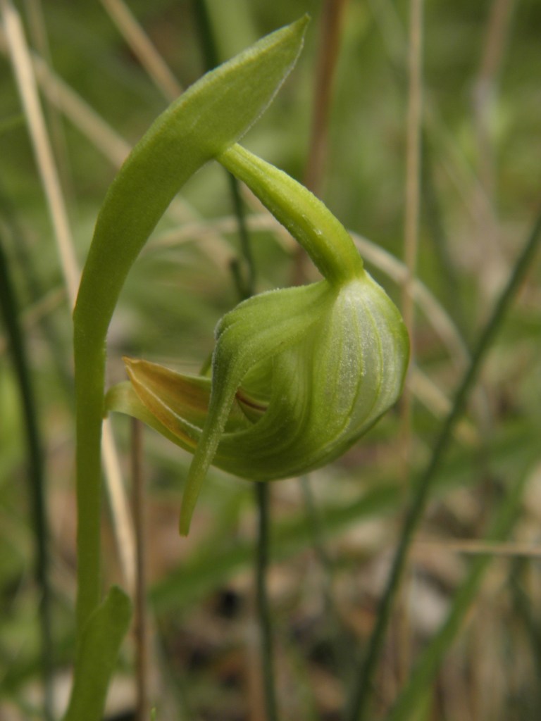 ... taking a good hard look at myself..