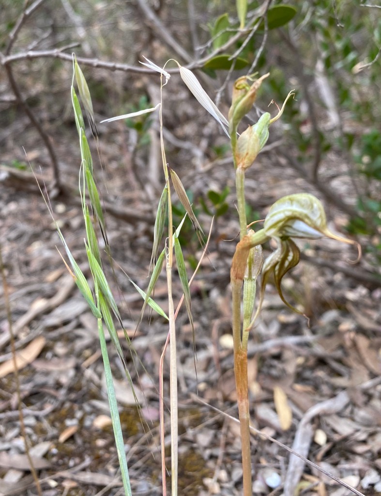 A "Thanks for covering for me, boys. I'll take it from here."