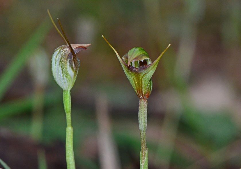 A "Oh, hello, you look a bit different to me."