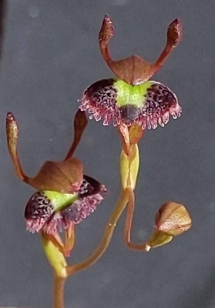 A Who said we always look in different directions?