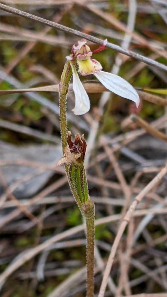 B You wait! When you're old you won't be able to reach as high either, and you'll get tubby too!