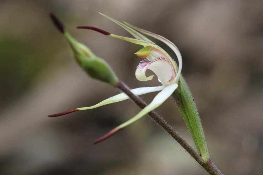 A 'Will you dance with me?'